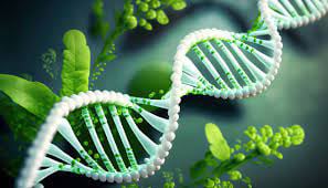 The Quantum DNA Code